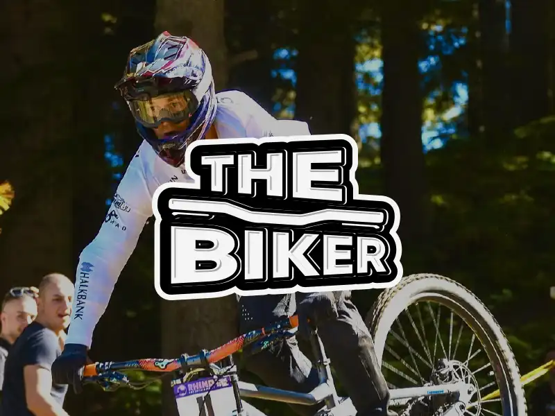 The Biker — view 1